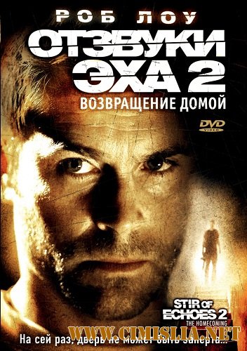 Отзвуки эха 2: Возвращение / Stir of Echoes: The Homecoming [2007 / DVDRip | Лицензия]