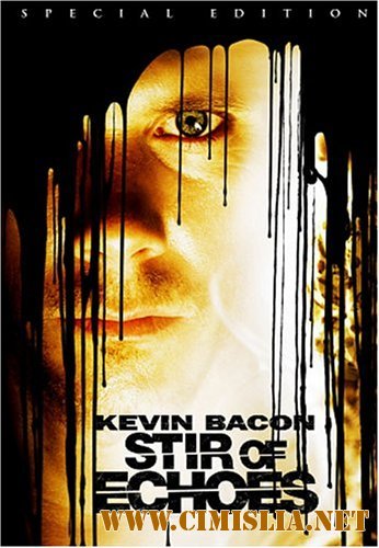 Отзвуки эха / Stir of Echoes [1999 / HDRip]
