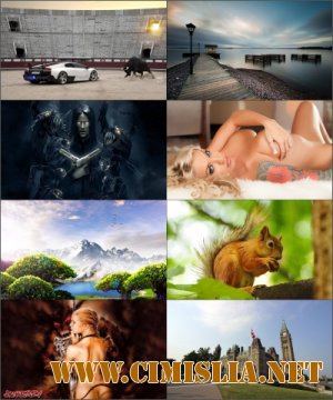 Обои для рабочего стола - Разное [2013]