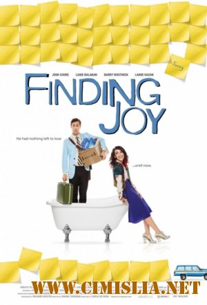 В поисках радости / Finding Joy [2013 / WEB-DLRip]