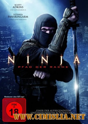 Ниндзя 2 / Ninja: Shadow of a Tear [2013 / BDRip]
