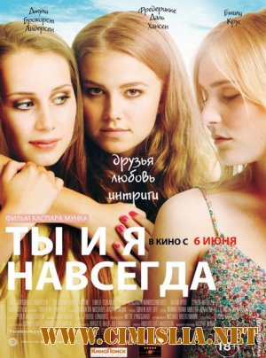 Ты и я навсегда / You & Me Forever [2012 / DVDRip | Лицензия]