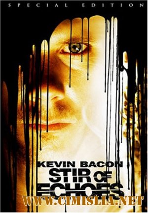 Отзвуки эха / Stir of Echoes [1999 / HDRip]