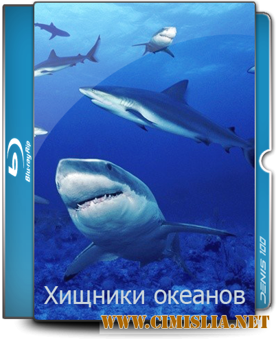 Хищники океанов / Ocean Predators [2013 /  BDRip]