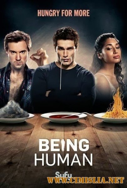 Быть Человеком / Being Human (USA) [04x01-13 из 13] [2014 / HDTVRip]
