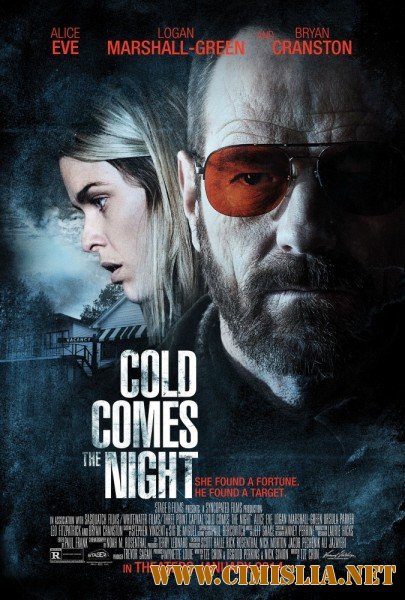 Взгляд зимы / Cold Comes the Night [2013 / HDRip]