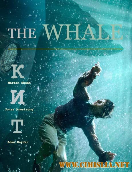 Кит / The whale [2013 / HDTVRip]
