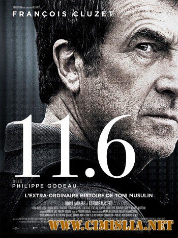 11.6 / 11.6 [2013 / BDRip-AVC]