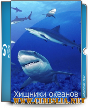 Хищники океанов / Ocean Predators [2013 /  BDRip]