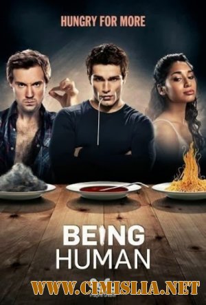 Быть Человеком / Being Human (USA) [04x01-13 из 13] [2014 / HDTVRip]