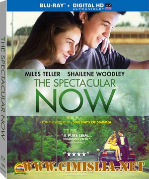 Захватывающее время / The Spectacular Now [2013 / HDRip | Лицензия]