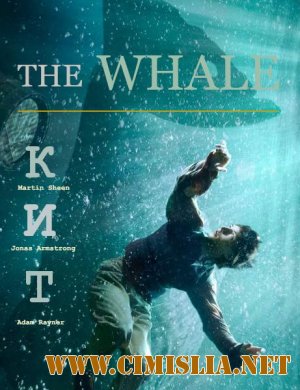 Кит / The whale [2013 / HDTVRip]