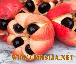 Cele mai ciudate fructe exotice din lume