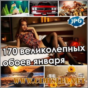 Обои для рабочего стола - 170 великолепных обоев января [2014]