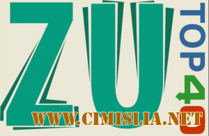 Top 40 Radio ZU [Ianuarie] [2014 / MP3 / 128 kb]