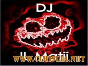 DJ IL Matii - Tomorrowland [2013 / MP3 / 320 kb]