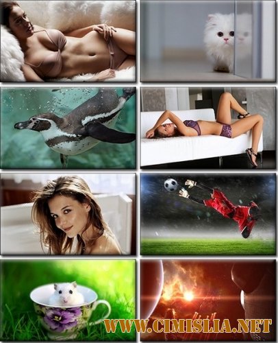 Обои для рабочего стола - Computer Desktop Wallpapers Collection #860 [2014]