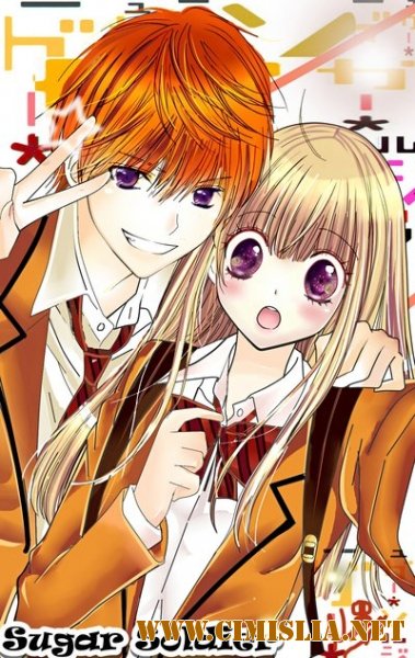 Сахарный боец / Sugar Soldier [TV] [01-03 из 03] [2014 / HDTVRip]