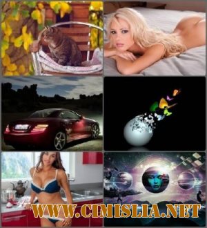 Обои для рабочего стола - Wallpapers Desktop Collection #90 [2014]