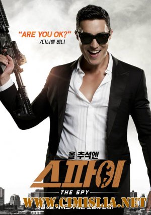 Шпион: Операция под прикрытием / The Spy: Undercover Operation [2013 / HDRip]