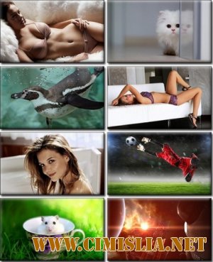 Обои для рабочего стола - Computer Desktop Wallpapers Collection #860 [2014]