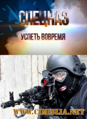 СПЕЦНАЗ. Успеть вовремя [2013 / SATRip]