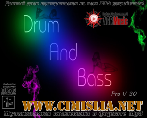 Drum and Bass Pro V.30 [2014 / MP3 / 320 kb]
