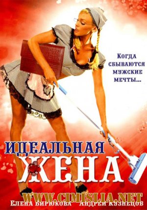 Идеальная жена [2007 / DVDRip]