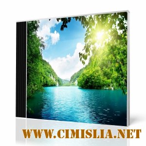 Улетная сотня летнего Trance vol.16 [2013 / MP3 / 320 kb]