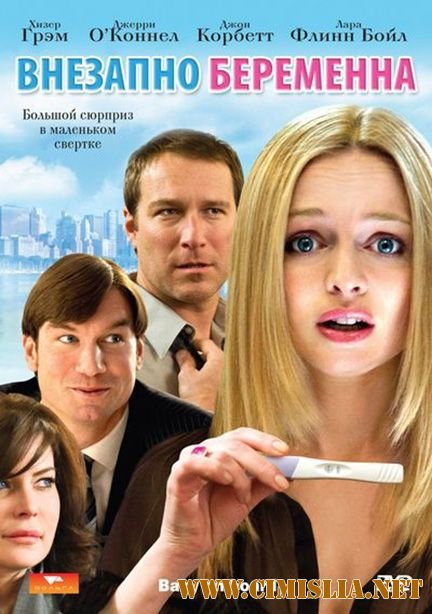 Внезапно беременна / Baby on Board [2009 / HDRip]