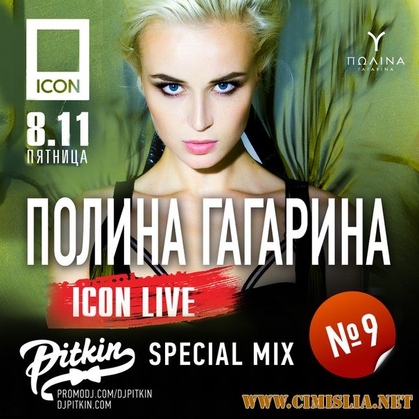 DJ PitkiN - Special Mix No.9 [2013 / MP3 / 320 kb]