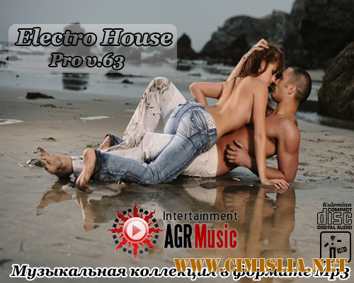 Electro House Pro V.63 [2014 / MP3 / 320 kb]
