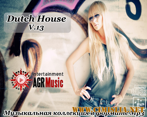 Dutch House V.13 [2014 / MP3 / 320 kb]