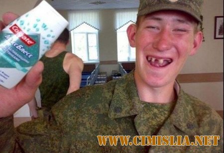 Добро пожаловать в Россию