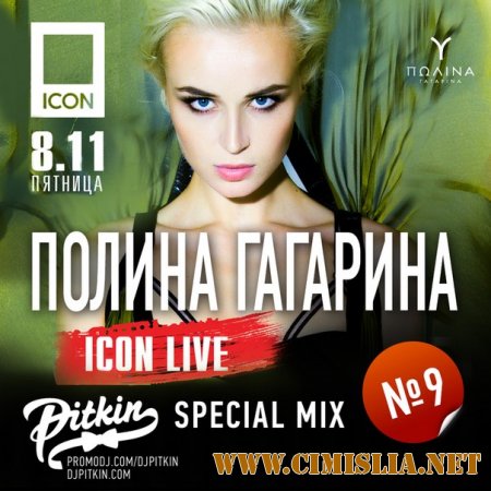 DJ PitkiN - Special Mix No.9 [2013 / MP3 / 320 kb]