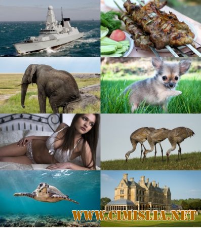 Обои для рабочего стола - Разное. Часть 8 [2014]