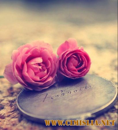 Обои для рабочего стола - Цветы [2014]