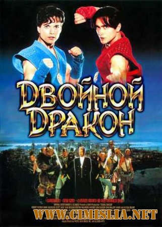 Двойной дракон / Double Dragon [1994 / DVDRip]