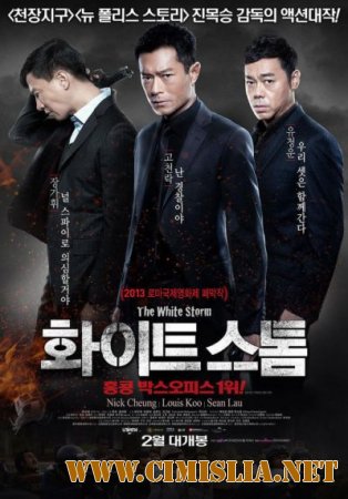 Белый шторм / The White Storm [2013 / HDRip]