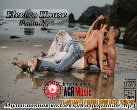 Electro House Pro V.63 [2014 / MP3 / 320 kb]