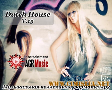 Dutch House V.13 [2014 / MP3 / 320 kb]