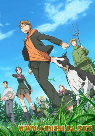 Серебряная ложка / Silver Spoon [01-11 из 11] [2013 / HDTV]