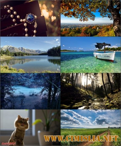 Обои для рабочего стола - Разное [2014]