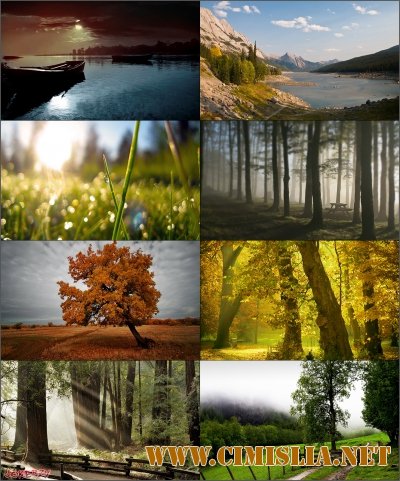 Обои для рабочего стола - Разное [2014]