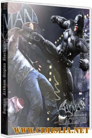 Batman: Arkham Origins Blackgate - Deluxe Edition [L] [2014 / RUS / ENG / MULTi6]