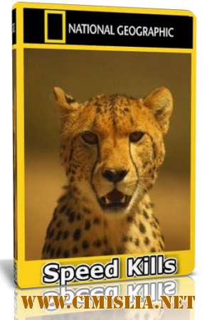 National Geographic. Убийственная скорость / National Geographic. Speed Kills [01-03] [2012 / HDTVRip]