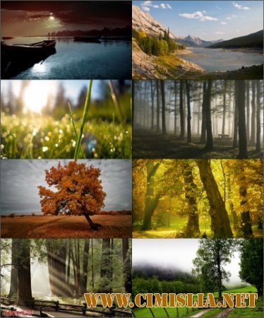 Обои для рабочего стола - Разное [2014]