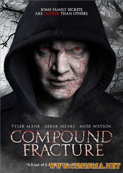 Открытый перелом / Compound Fracture [2013 / WEB-DLRip]