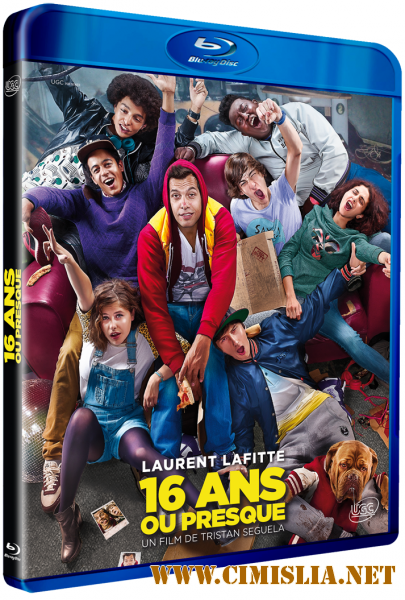 Снова 16 / 16 ans ou presque [2013 / HDRip | Чистый звук]