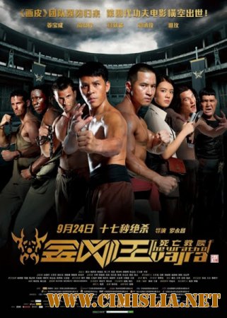 Гнев Ваджра / The Wrath of Vajra [2013 /  HDRip]